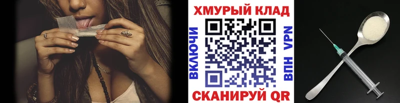 Купить где  Суворов  Героин хмурый 