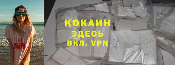 PSILOCYBIN Аркадак