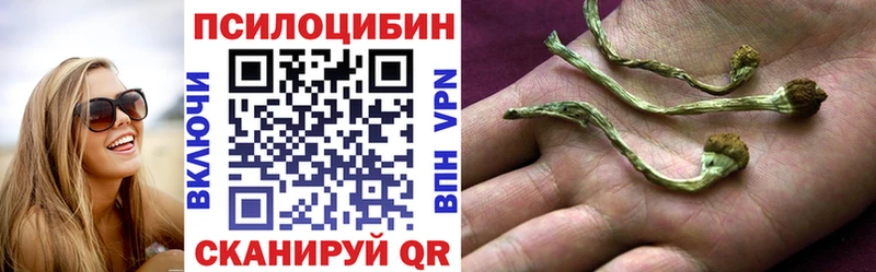 Псилоцибиновые грибы Psilocybine cubensis  Купить где  Суворов 
